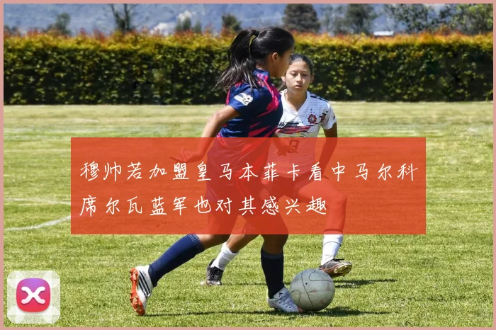 穆帅若加盟皇马本菲卡看中马尔科席尔瓦蓝军也对其感兴趣