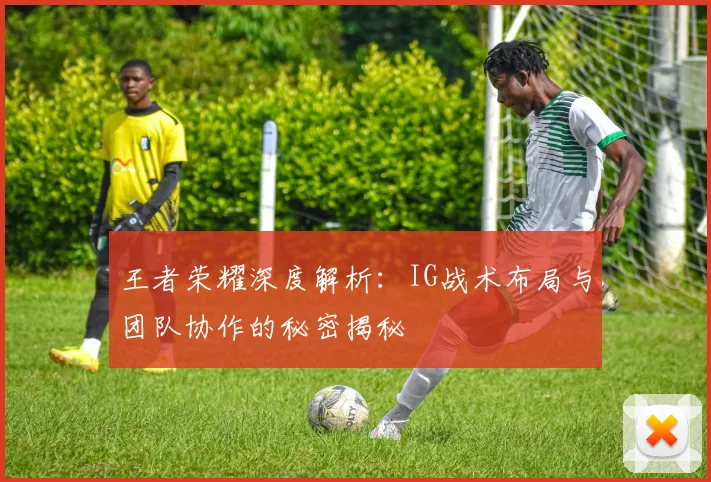 王者荣耀深度解析：IG战术布局与团队协作的秘密揭秘