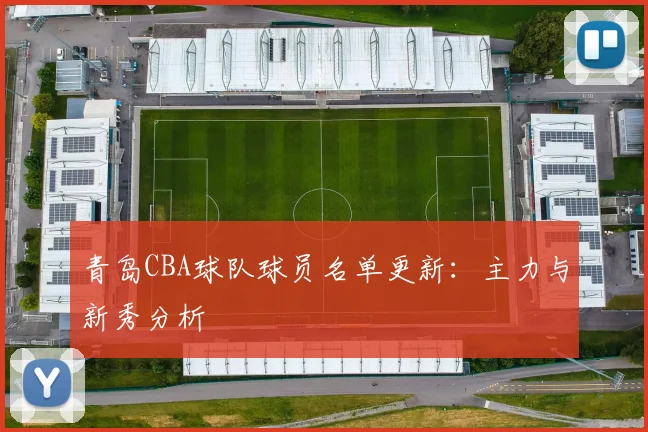 青岛CBA球队球员名单更新：主力与新秀分析